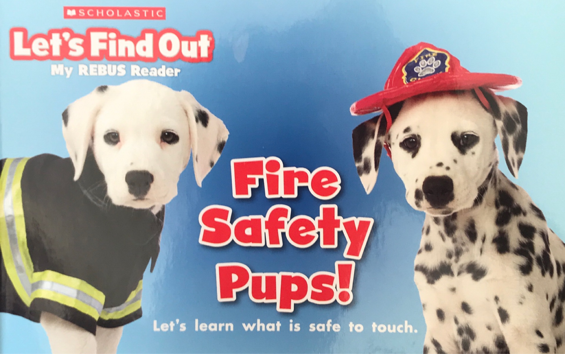  How to Celebrate National Pet Fire Safety Day: Essential Tips for Keeping Your Pets Safe