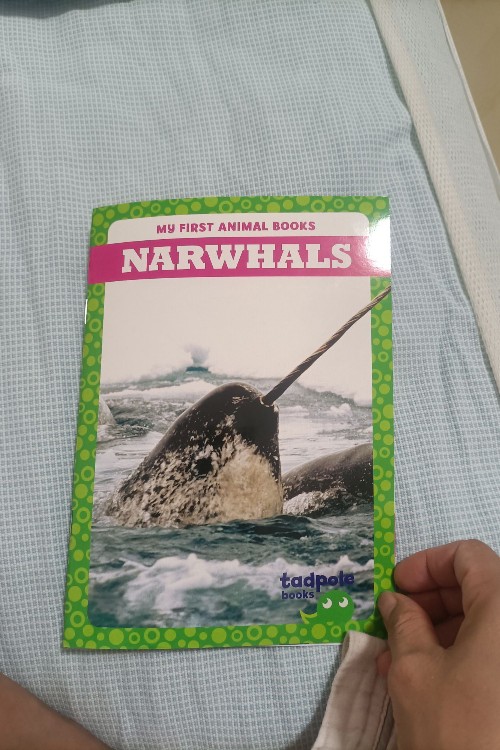 Narwhals