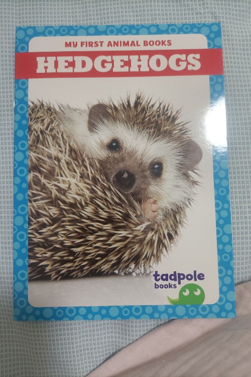 Hedgehohs