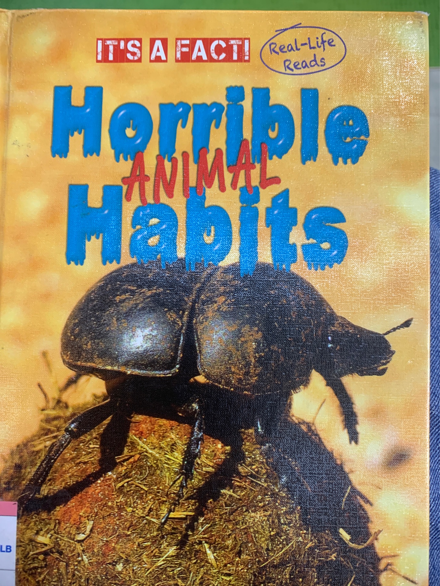 Horrible animal habirs