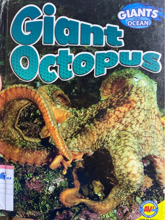 Giant of the ocean giant octopus