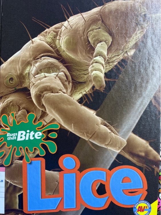 Bugs that bite lice