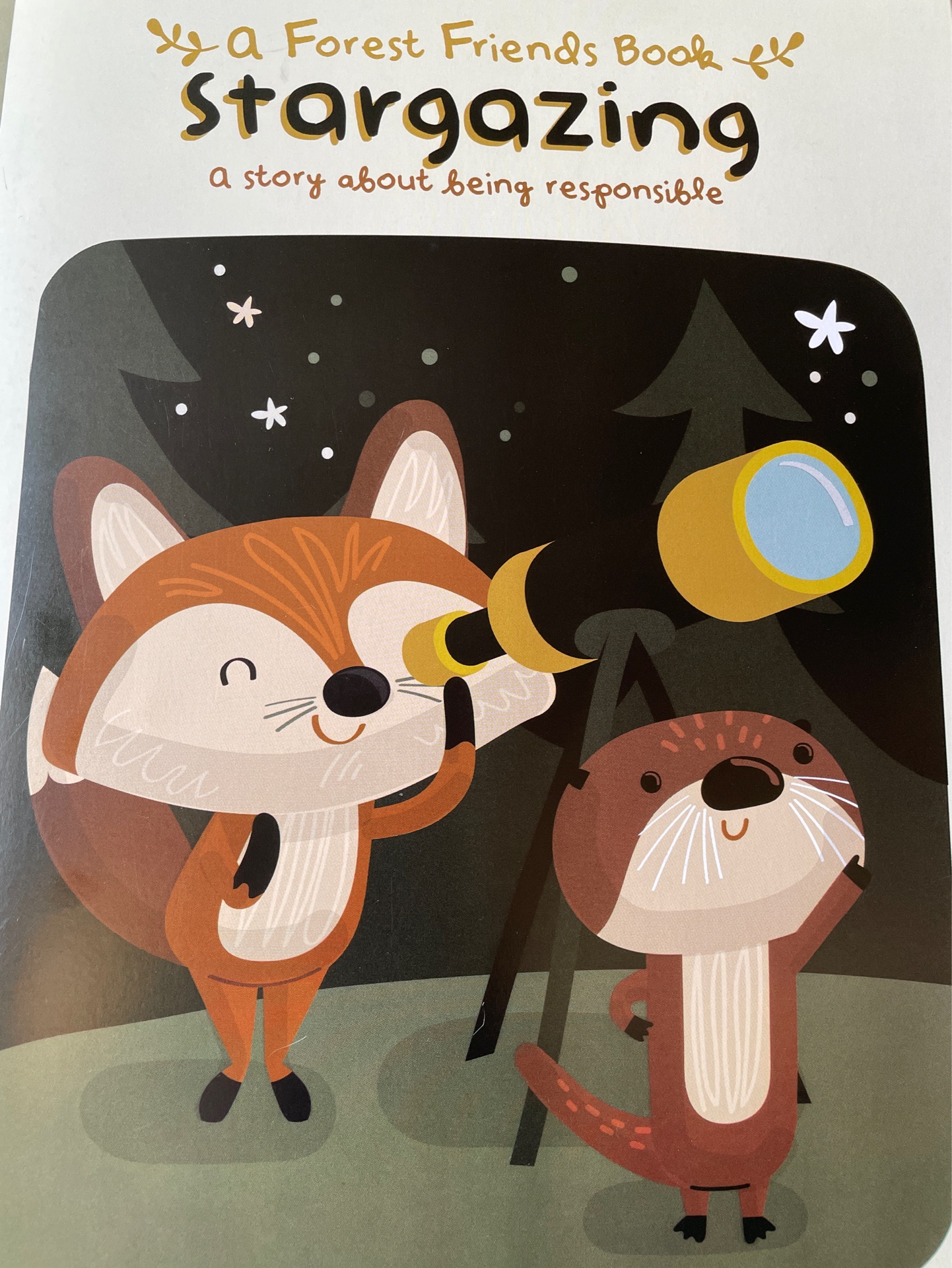 A forest friends book Stargazing a story about being responsible