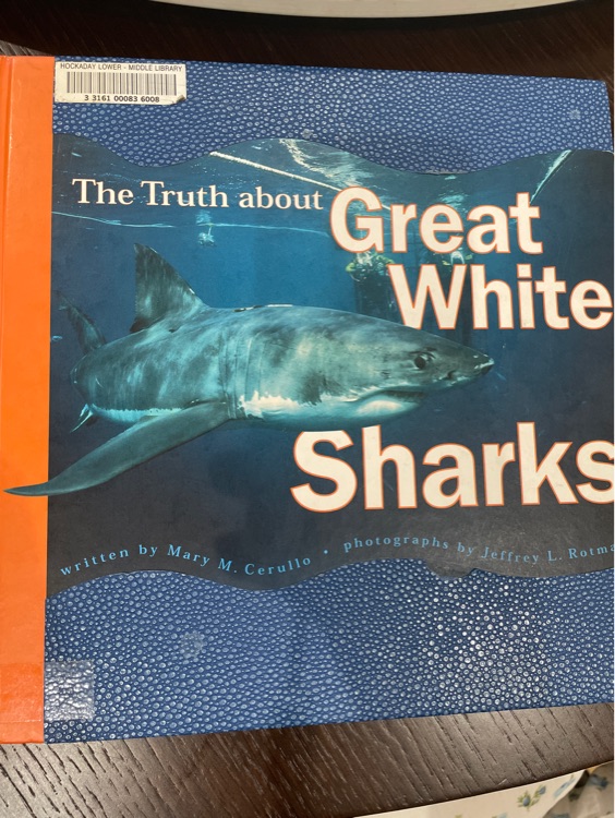 The truth about great white sharks