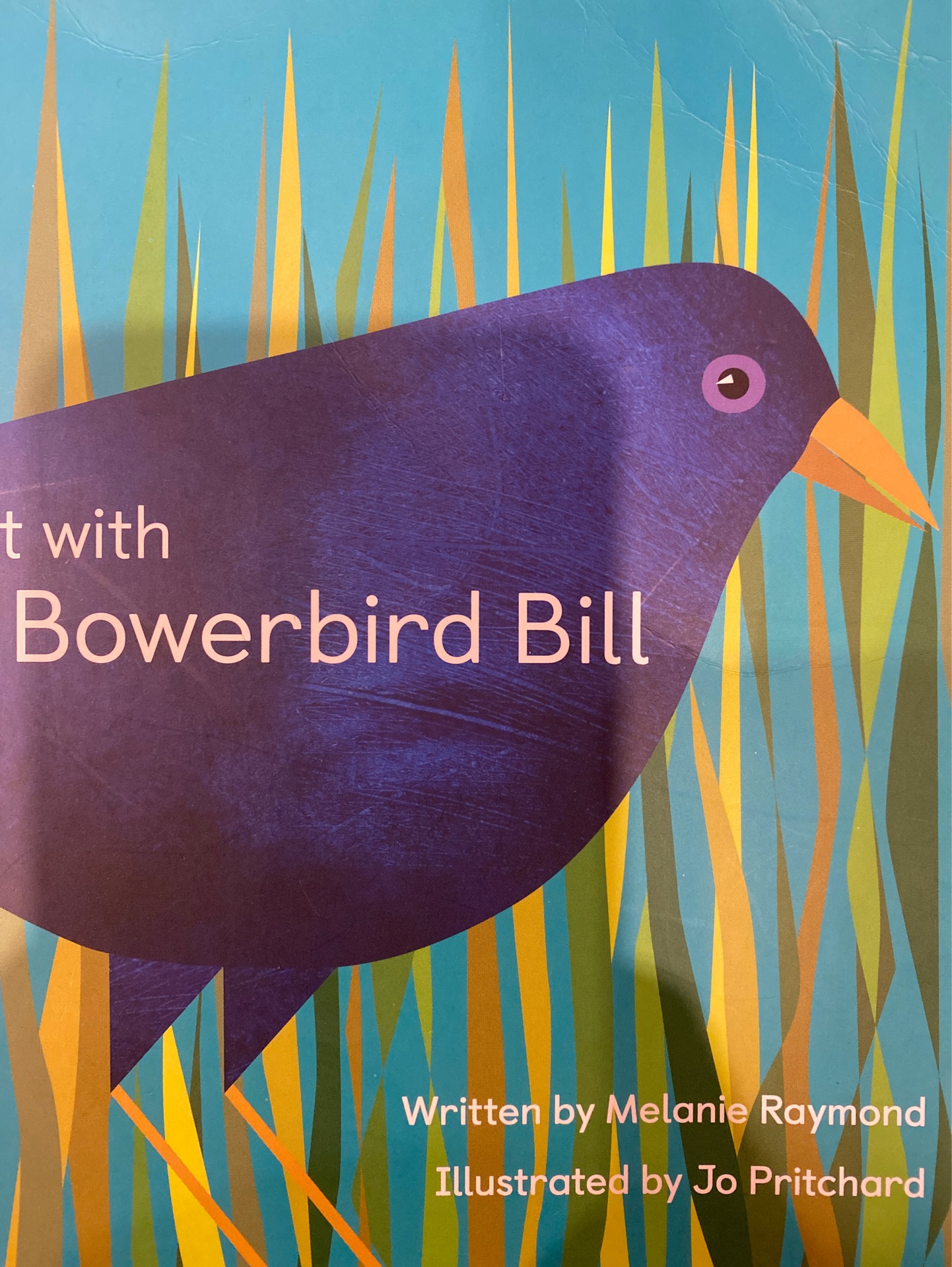 Count with Bowerbird Bill