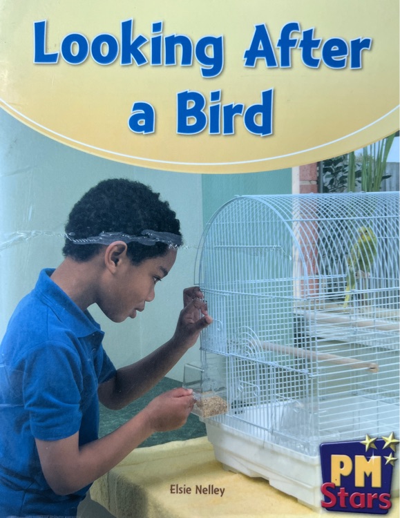 Looking after a bird