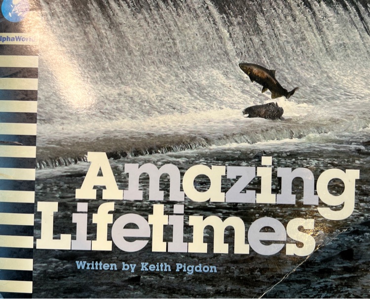 Amazing Lifetimes