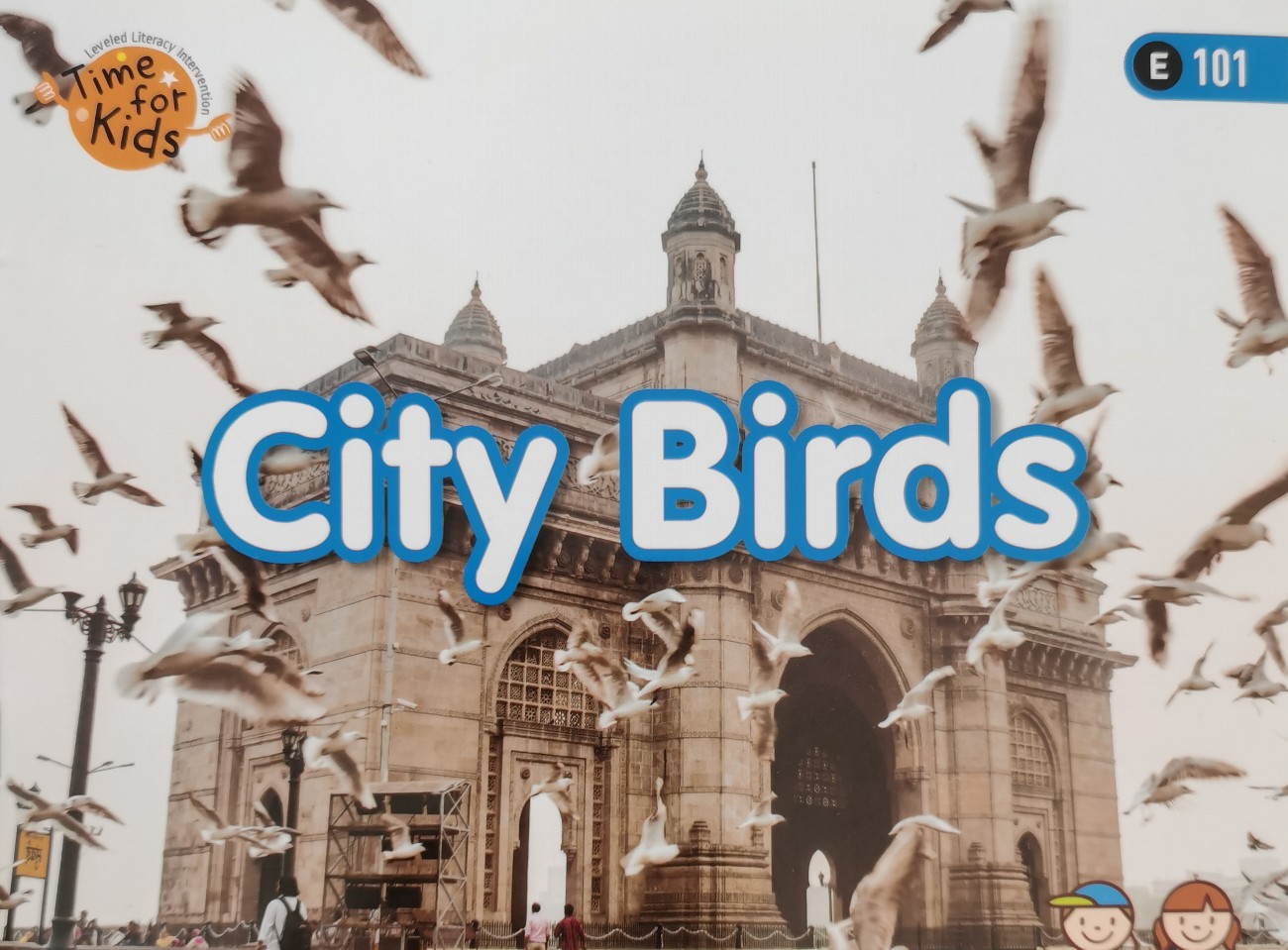 City Birds