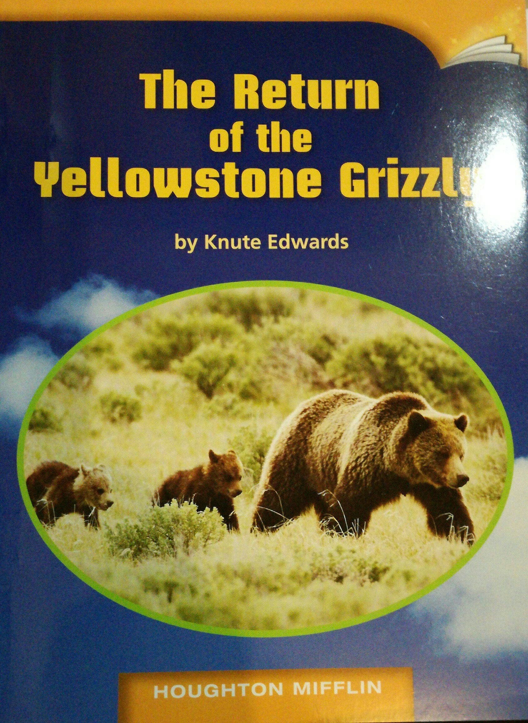 The Return of the Yellowstone Grizzly