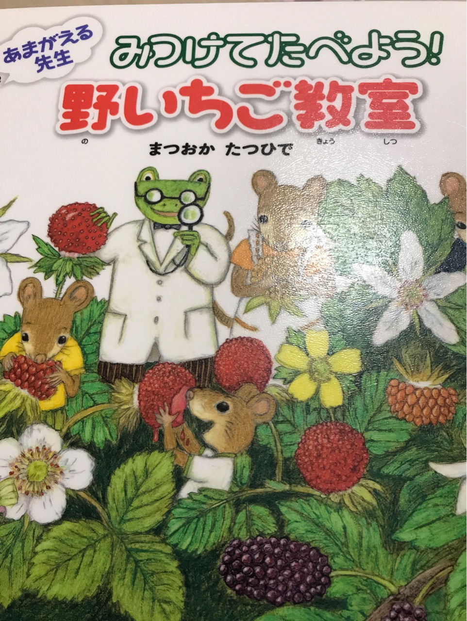 みつけてたべよう!  野いちご教室