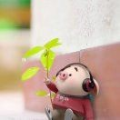 微醉的陽光