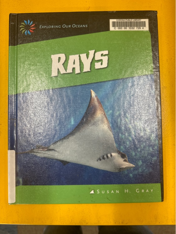 RAYS