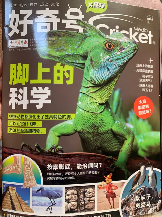 好奇號2021