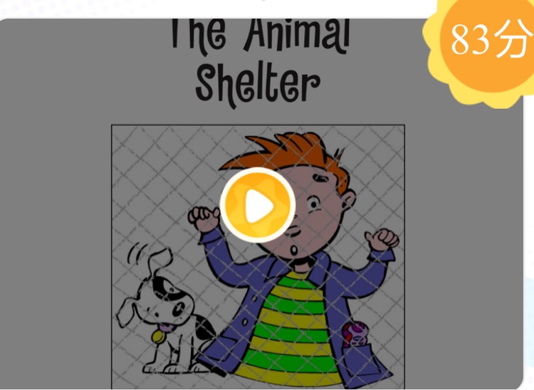 the animal shelter