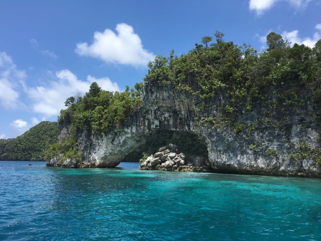 《海里来找一个伙