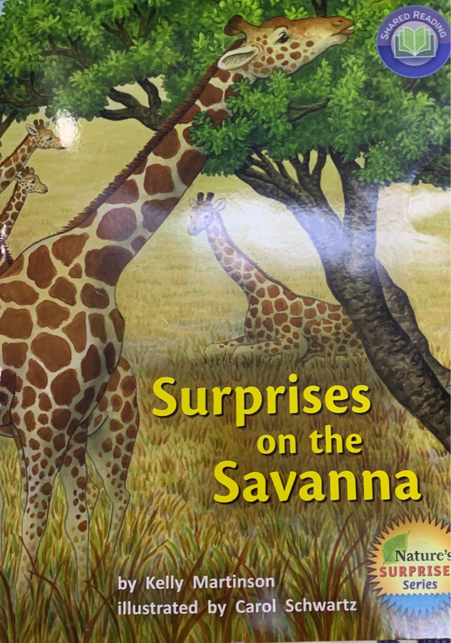 Surprises on the Savanna