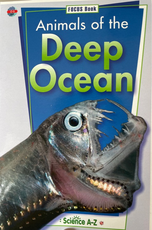 Saz 04 deep ocean