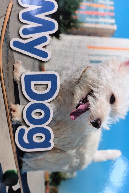 my dog