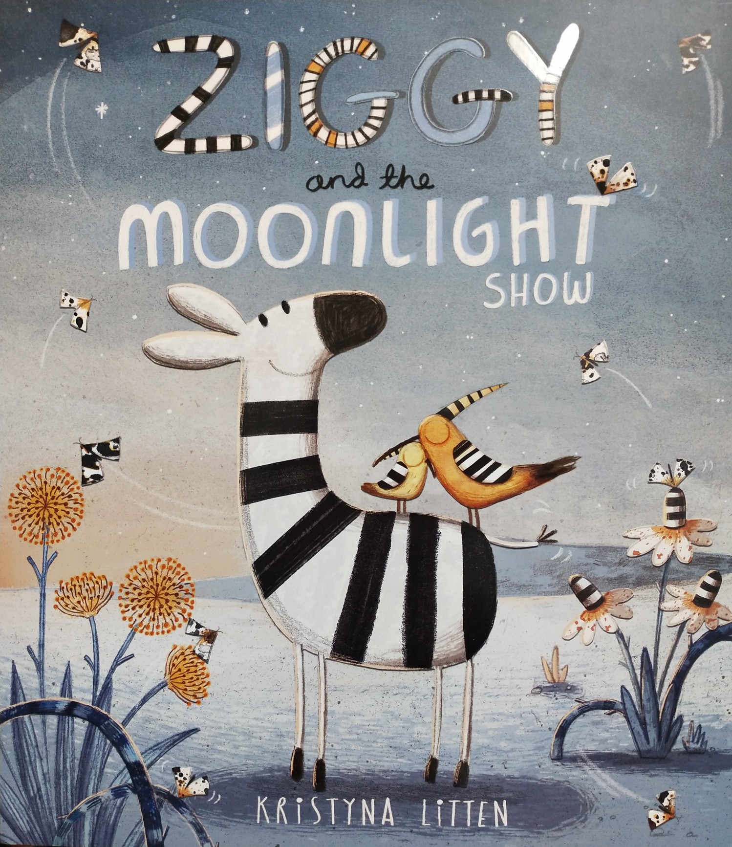 ziggy and the moonlight show