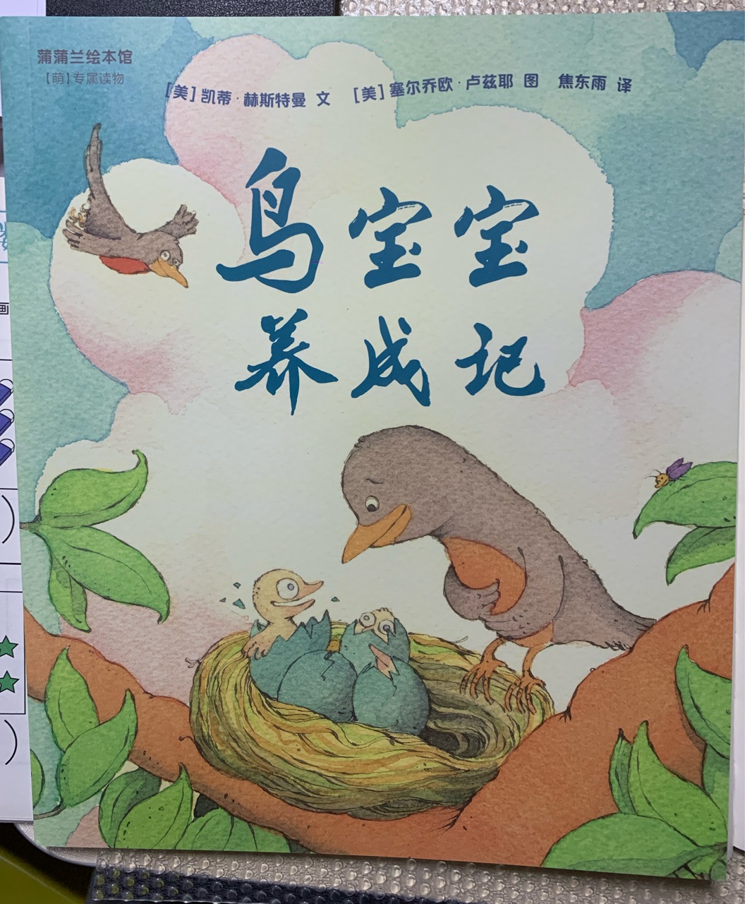 鳥寶寶養(yǎng)成記