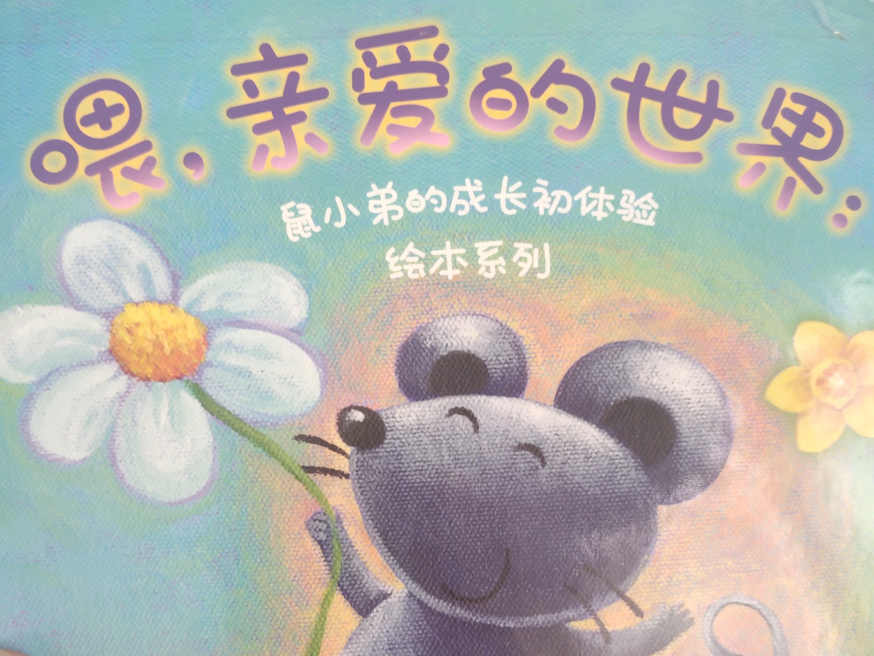 喂親愛的世界