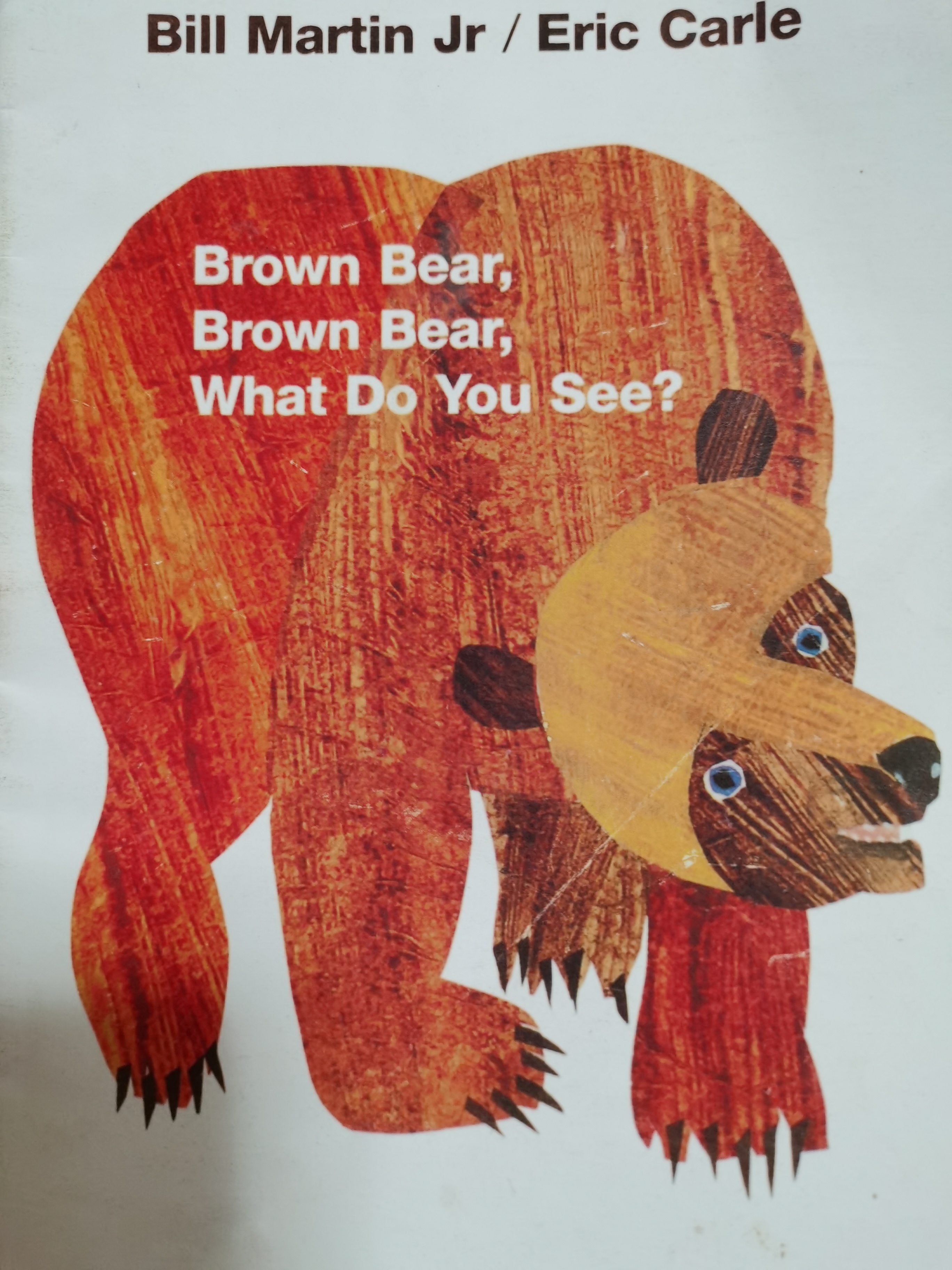 Brown bear