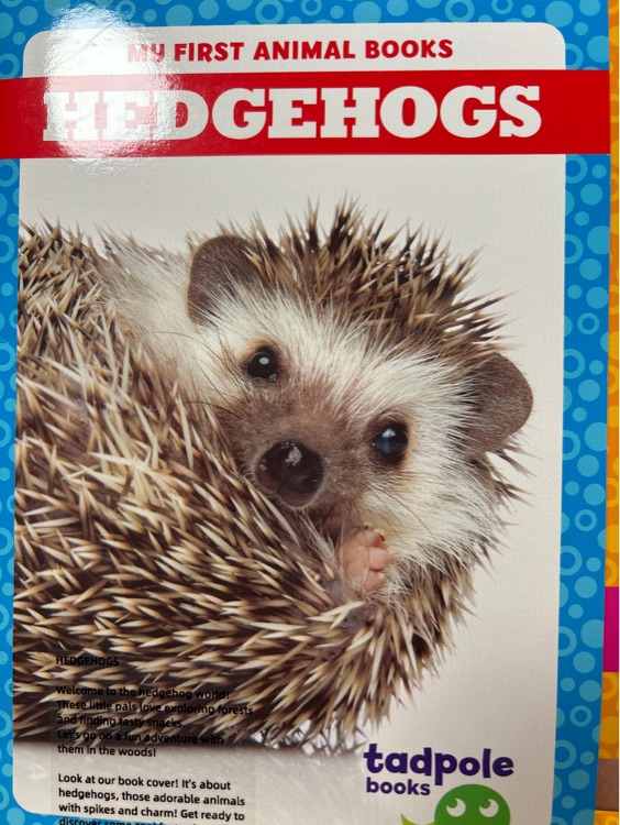 Hedgehogs