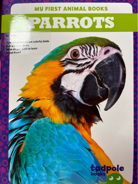 Parrots