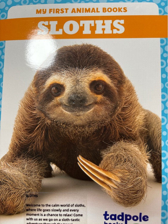 Sloths