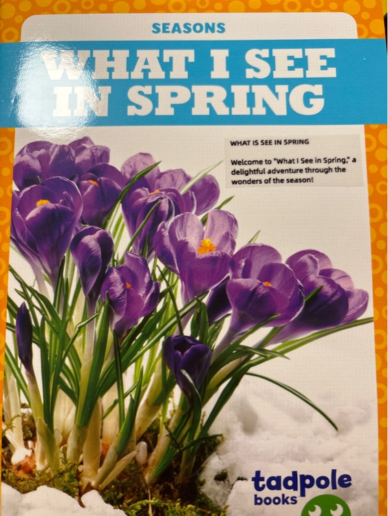 What I see in spring