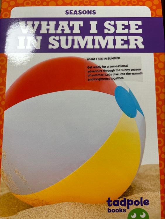 What I see in summer