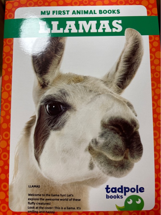 Llamas