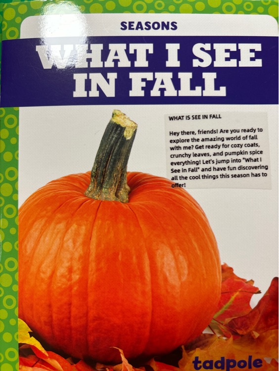 What I see in fall