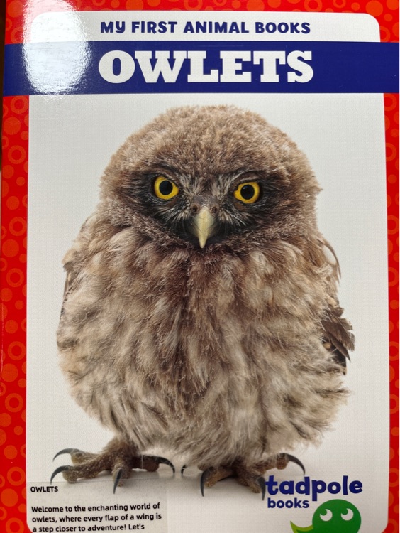 Owlets