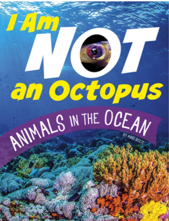 I  Am Not an Octopus: Animals in the Ocean