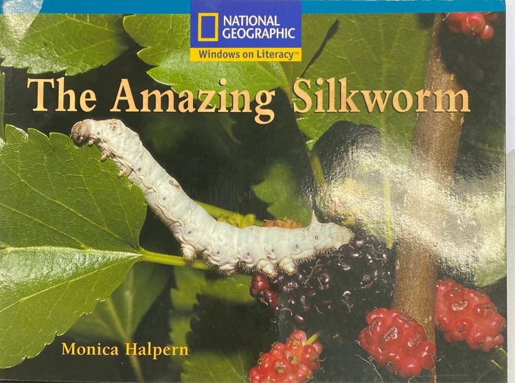 The amazing silkworm