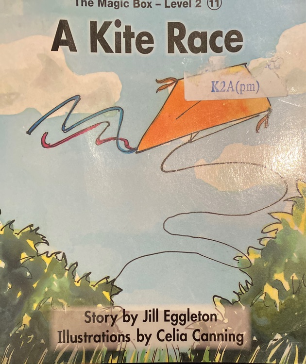 A kite race