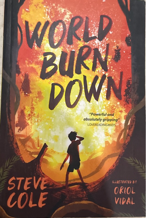World burn down