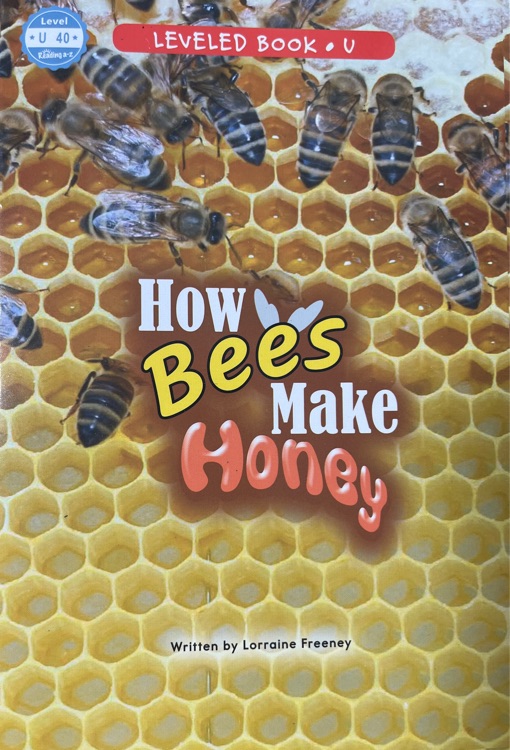 How bees make honey