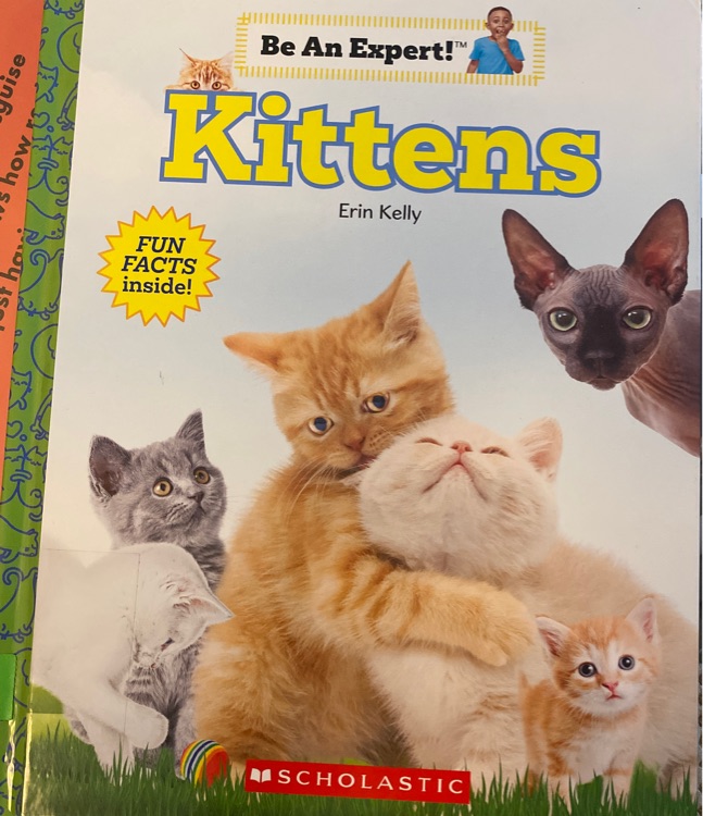 Kittens