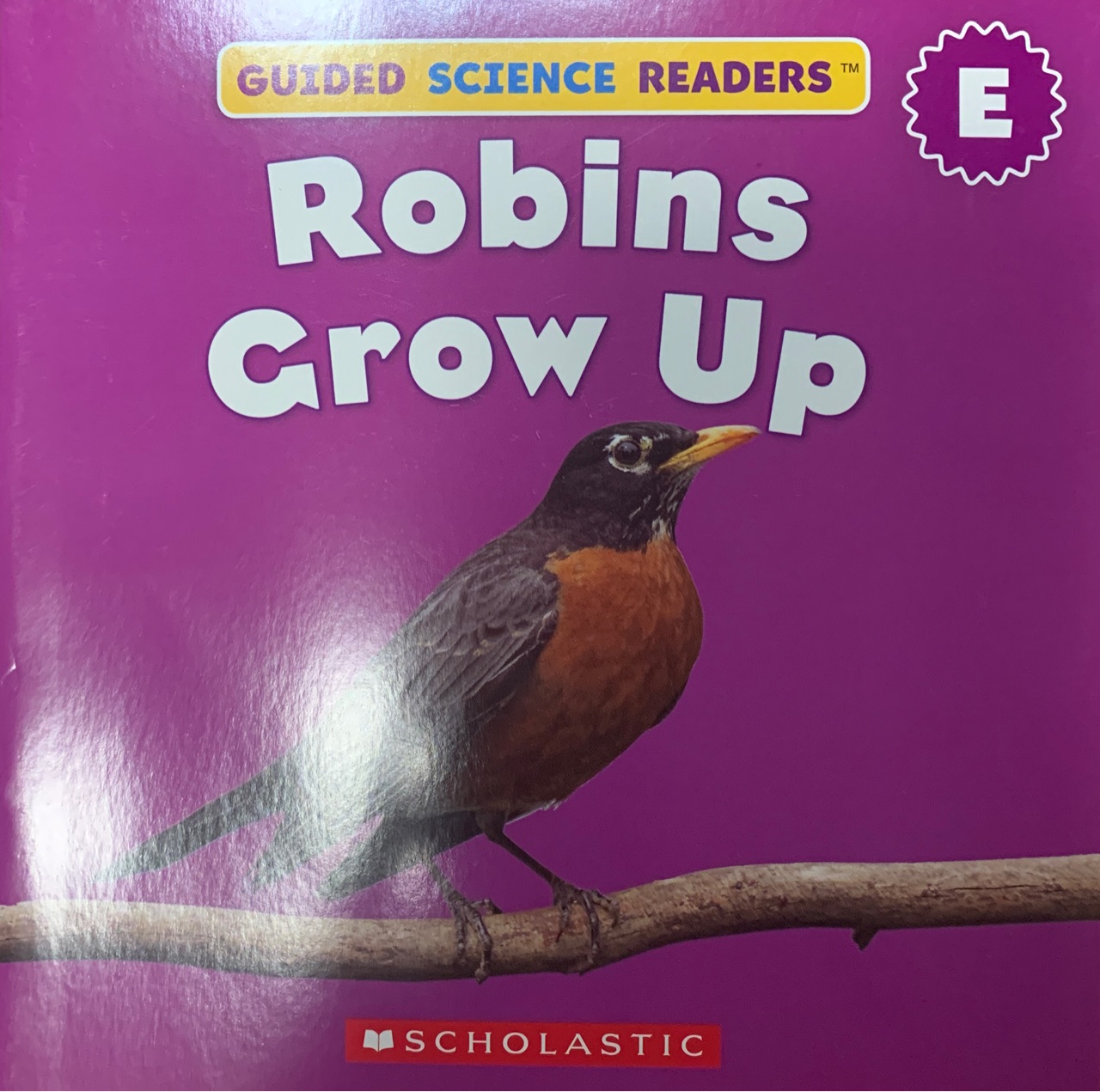 Robins grow up