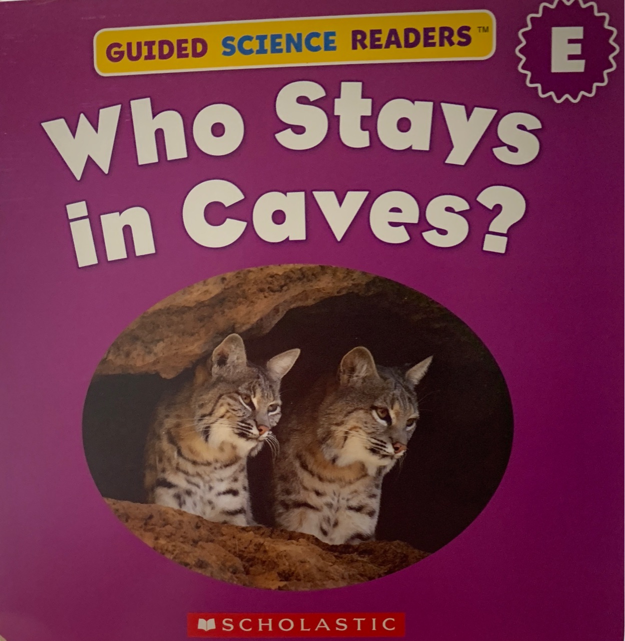 Who stays in caves?