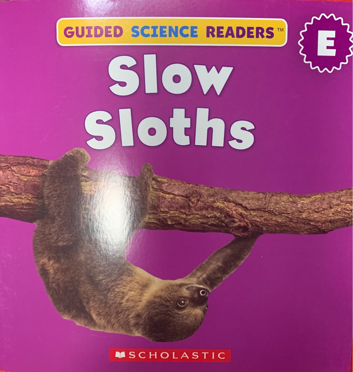 Slow sloths