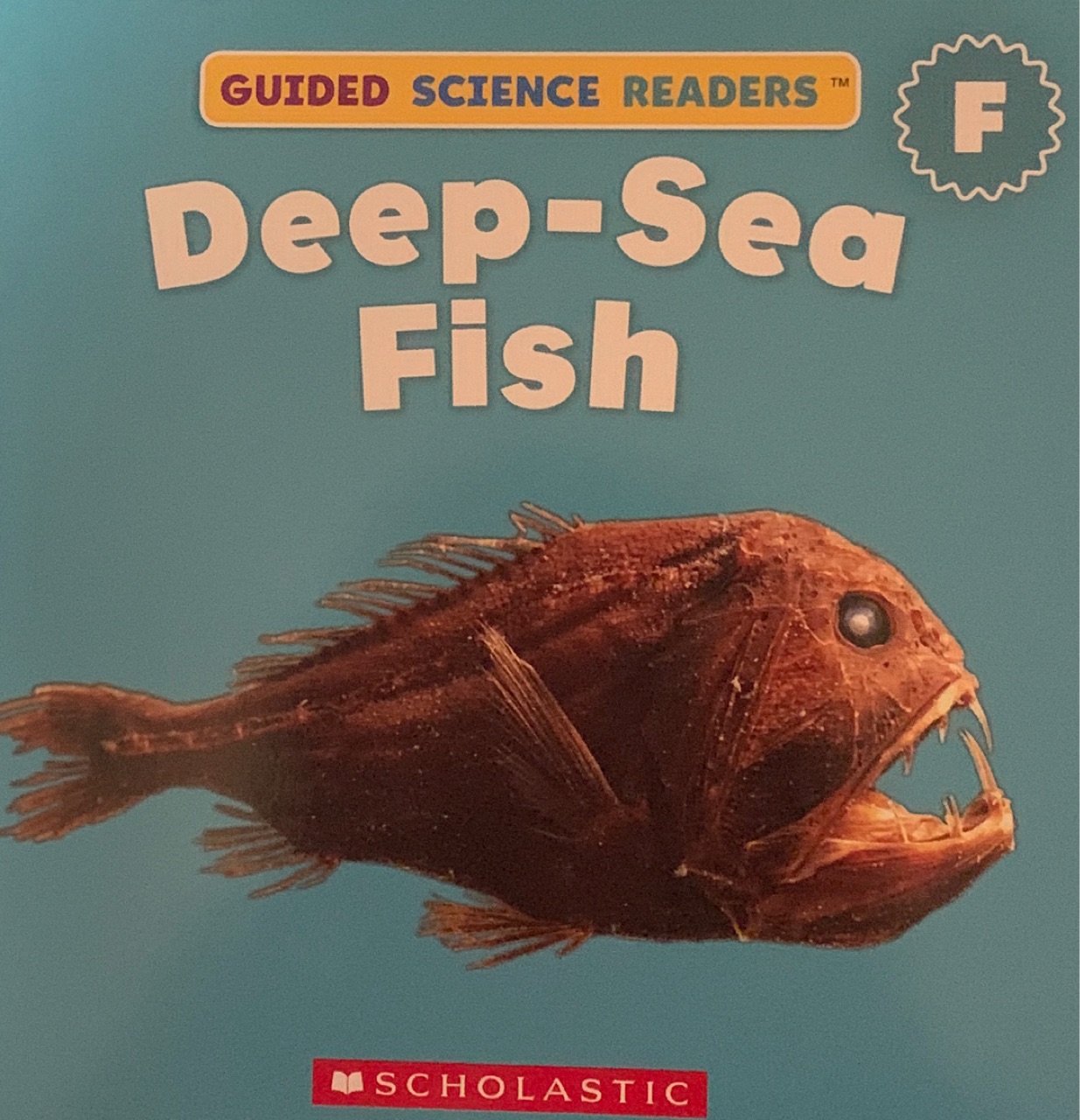 Deep-Sea fish