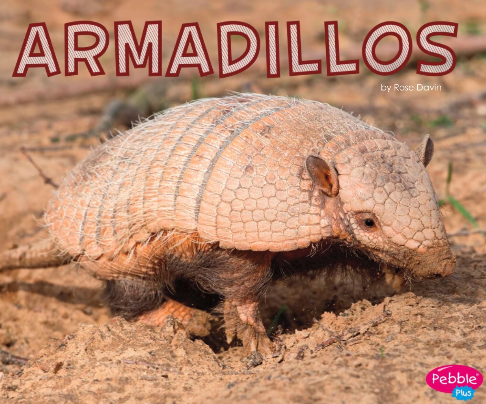 Armadillos