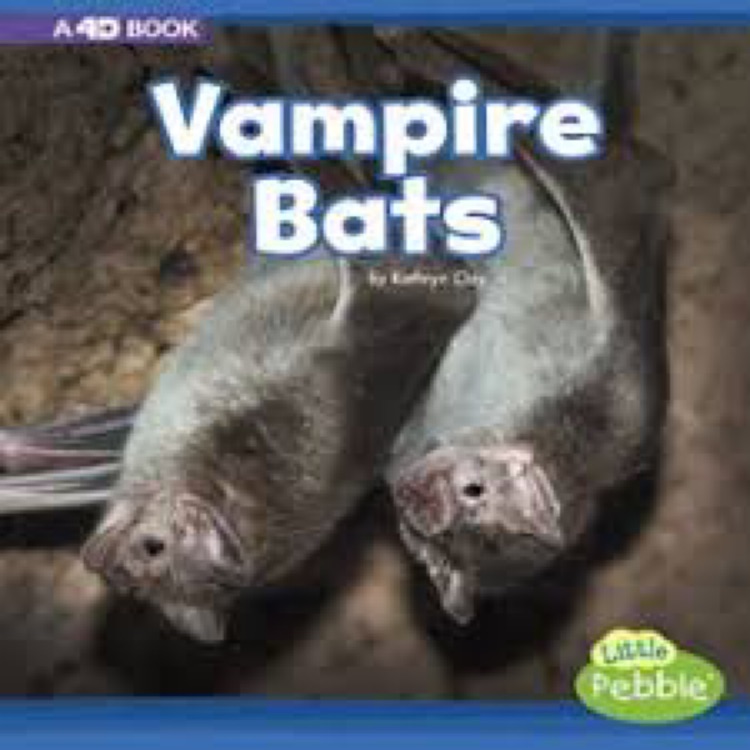 Vampire bats