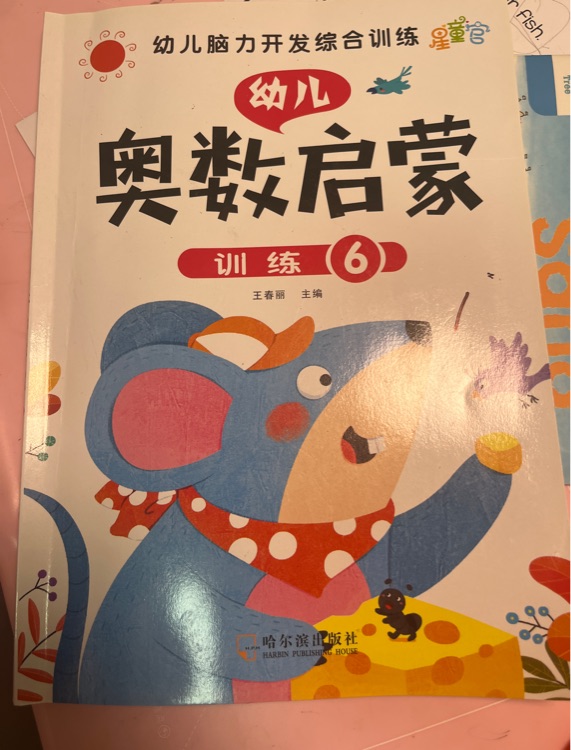 幼兒數(shù)學(xué)啟蒙教材 3-4-5歲兒童奧數(shù)思維訓(xùn)練