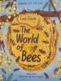 look inside the world of bees