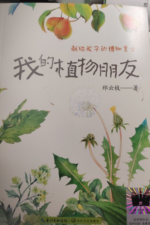 我的植物朋友