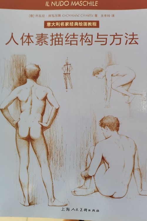 人體素描結(jié)構(gòu)與方法